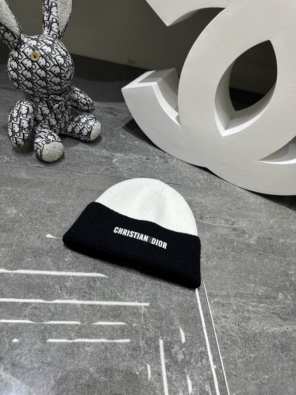 Dior Beanie ID:20260111-50